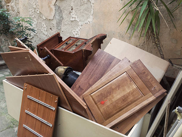 Best Professional Junk Removal  in Hawkinsville, GA